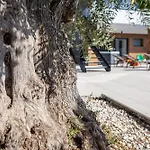 Willa Vivi Rent - Old Olive Iii Vodnjan